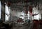 Bloodfly_Infestation_concept_art