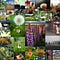 Better Mobile Photos Community - weekly mobile photo theme Blur #bmp_blur