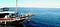 MSDT-Blue-Marlin