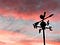 A weather vane attempts to point the way for us against a backdrop of sunset sky.