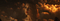 Divers joanna newsom