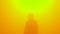 Artist standing in a gradient mist