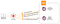 Sign Up Implementation