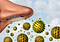 Why Does My House Stink? The Trick to Hidden Odors and How to Treat ...