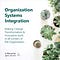 https://agile-od.com/organization-systems-integration