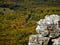 Best Places to Hike in NC Hanging Rock State Park Moores Wall
