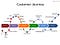 Customer Journey