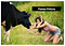 Youtube Funny Videos-Most Funniest Videos-YouTube Videos