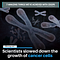 CRISPR