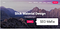 Best Wordpress SEO Friendly Themes For 2019–20