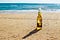 A bottle of Corona Extra with a lime wedge in the neck sits alone on a sandy beach by the water