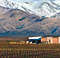 Domaine Bousquet vineyard