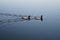 One duck following another on water.