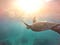 turtle close to surface with sun rays - make an extra buck in dive jobs