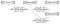 что такое load balancing. Смотреть фото что такое load balancing. Смотреть картинку что такое load balancing. Картинка про что такое load balancing. Фото что такое load balancing