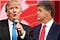 Image result for hannity trump