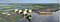 An LNG Horse Race