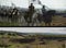 Game of Thrones concept art (4)