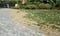 sod webworm damage to grass along driveway