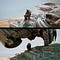 tyler smith study05 02