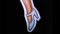 Nice shoes