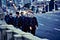 Linkin park press photo credit james minchin 2017 billboard 1548