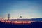 Image of a aircraft landing on a runway during twilight!