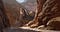 aaron limonick scorpion canyon final 2