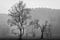 20130413_smokies_570