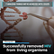 CRISPR