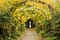 Green spaces in London - St John's Lodge