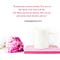 Financial advice for women females The New Savvy