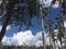 Ciel de Floride