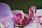 Um louva-deus-orquídea ao lado de uma orquídea