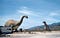 Ca crazy dinosaurs