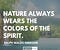 NATURE ALWAYS WEARS THE COLORS OF THE SPIRIT - RALPH WALDO EMERSON