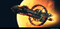 Interstellar shuttle