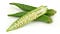 12 Okra Health Benefits