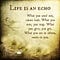 life is an echo