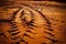 Tire tracks mud e1499860573843