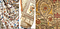 wedding sarees