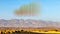 Soundcloud disappearing