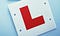 Learning Sign