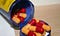 uses of fish antibiotics