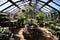 Petersham Nurseries