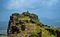 activity_image_1499426623-33547