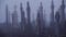 Image result for graveyard trump