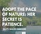 ADOPT THE PACE OF NATURE: HER SECRET IS PATIENCE - RALPH WALDO EMERSON