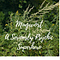 Mugwort - A Seriously Psychic Superhero - Herb of Dreams