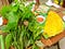 Rau rừng Tây Ninh đặc sản nổi tiếng nơi đất rừng Đông Nam Bộ